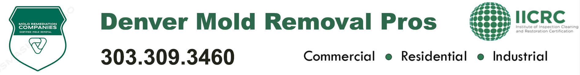 Denver Mold Removal Pros
