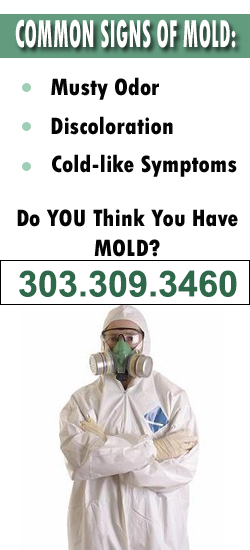 Denver Mold Remediation Contractor